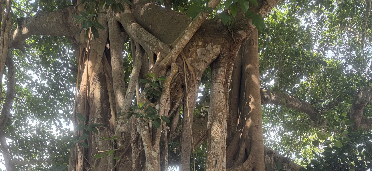 TamarANNE Tuesday: Adventures With My “AMIGOS” in Colombia