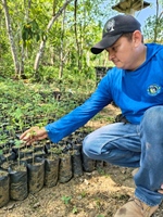 TamarANNE Tuesday: Learning from Nature: How Seeds Teach Us to Grow Forests