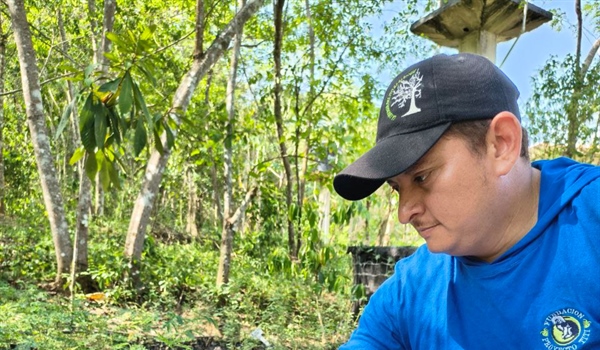 TamarANNE Tuesday: Learning from Nature: How Seeds Teach Us to Grow Forests