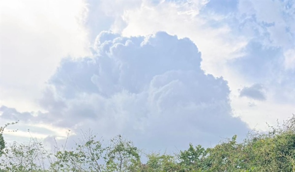 Happy Global Recycling Day!