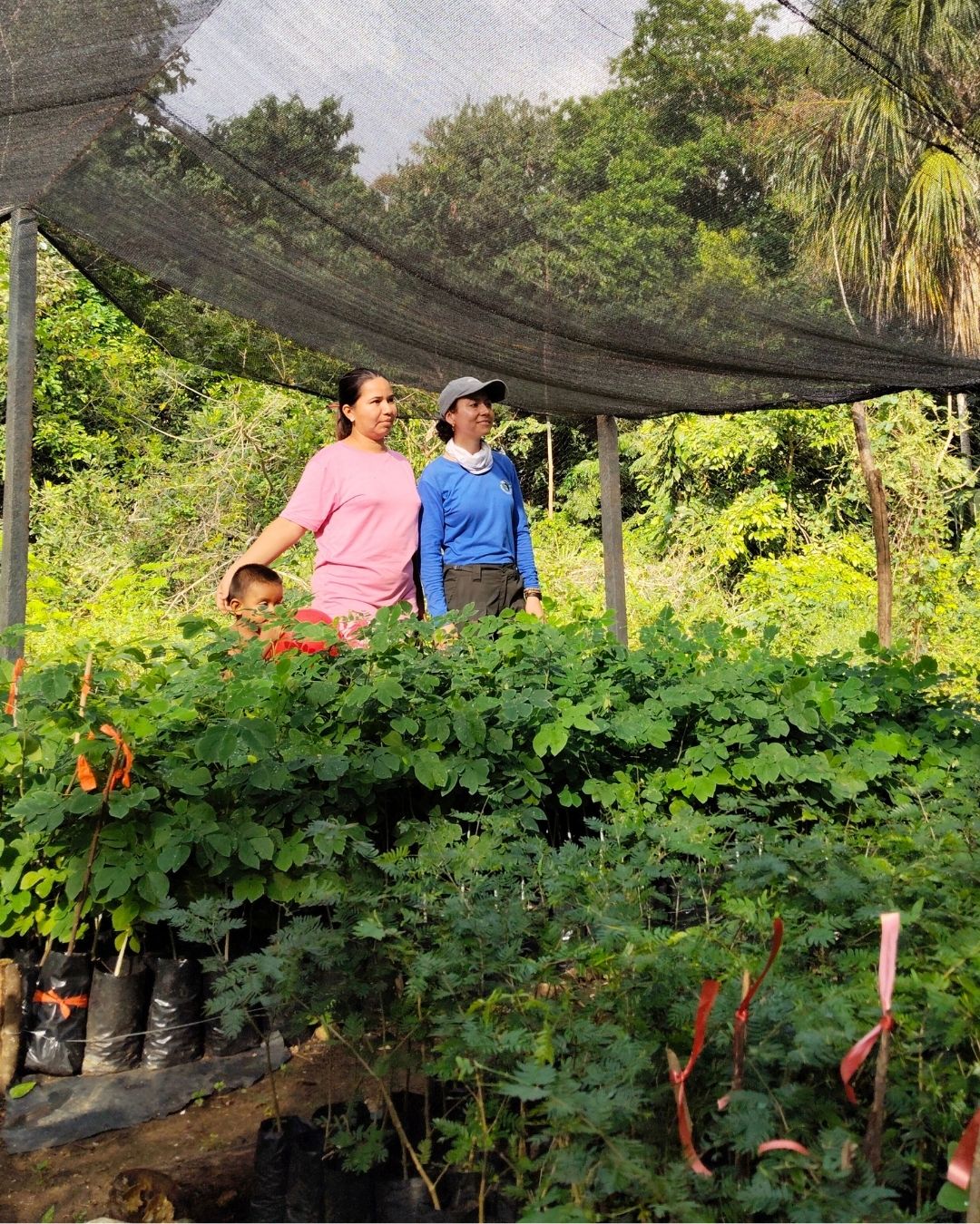 TITI TIDBITS: Fathers, Daughters, and Forests Growing Together