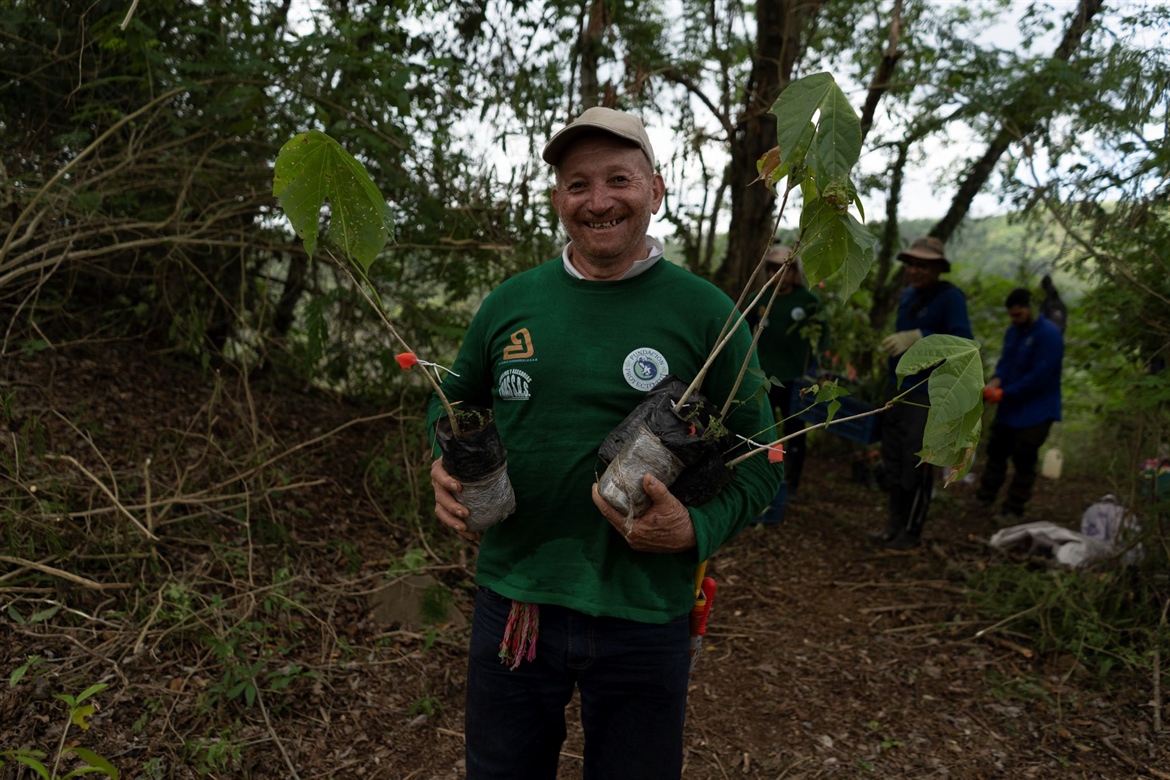 TamarANNE Tuesday: The Trees We Plant Today
