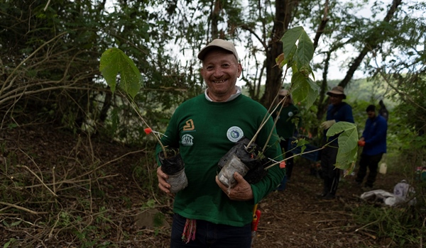 TamarANNE Tuesday: The Trees We Plant Today