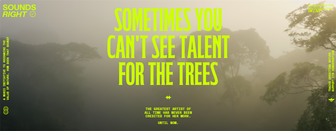 TamarANNE Tuesday - When Nature Becomes the Artist