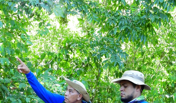 TamarANNE Tuesday: Three Generations, One Forest, One Dream