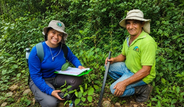 TamarANNE Tuesday: Planting Trees is the Easy Part