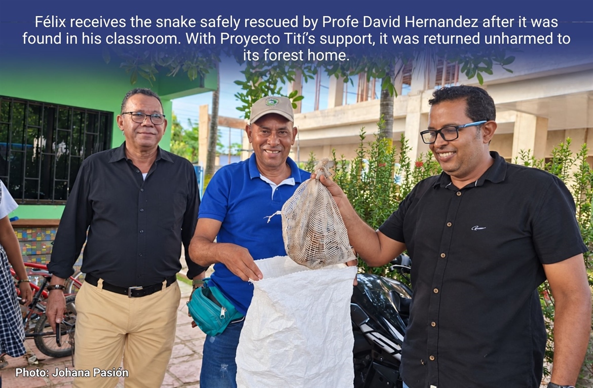 TamarAnne Tuesday: The Day a Snake Entered the Classroom