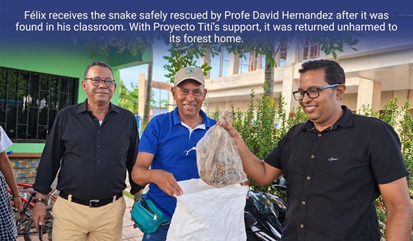 TamarAnne Tuesday: The Day a Snake Entered the Classroom