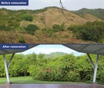 TamarANNE Tuesday - Growing a Forest: Los Titíes de San Juan Forest Reserve, the Perfect Neighbor for a National Park