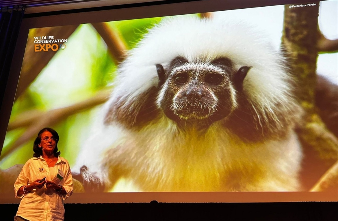 TITI TIDBITS: ¡Acompaña a Rosamira en la Wildlife Conservation Expo!