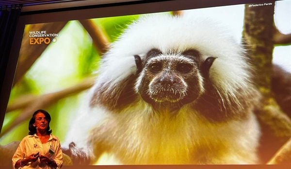 TITI TIDBITS: ¡Acompaña a Rosamira en la Wildlife Conservation Expo!