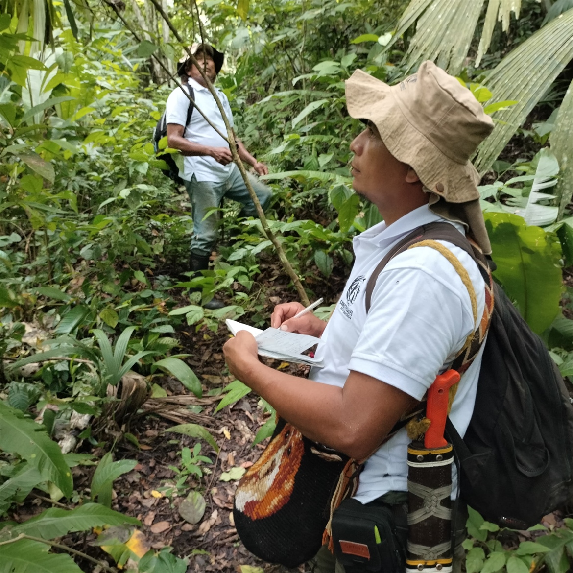 TamarAnne Tuesday: Between the Dry Forest and the Farms — How a Community Monitoring Network Was Born in Montes de María