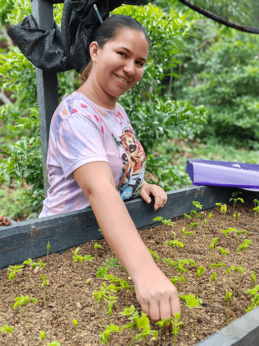 Seguimiento A Viveros