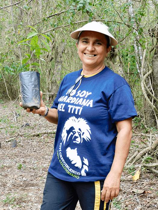 Seguimiento A Viveros